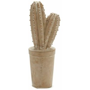 Kaktus kameni 38cm